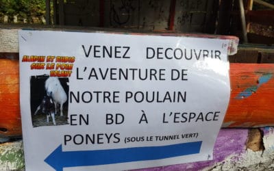 Viens découvrir notre expo BD à l’espace poneys