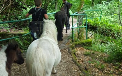 Aventure est arrivé au Lignon